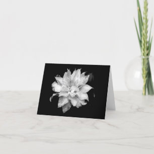 Clematis H 2 Blank Note Card Condolences Beileid Dankeskarte