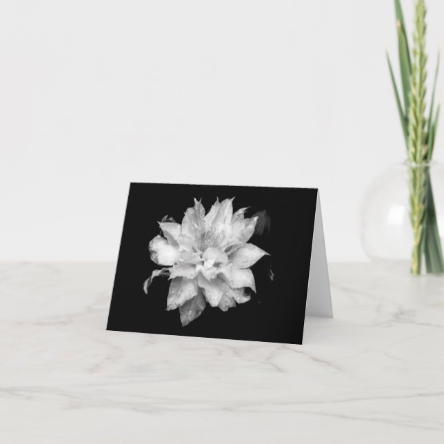 Clematis H 2 Blank Note Card Condolences Beileid Dankeskarte (Vorderseite)