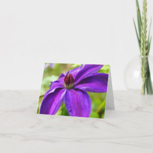 Clematis Hallo! Karte