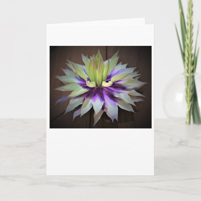 Clematis, Karte (Vorderseite)