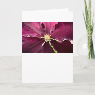 Clematis, Karte
