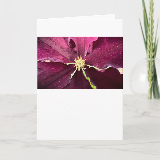Clematis, Karte (Vorderseite)