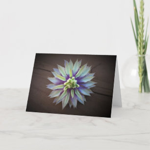Clematis, Karte