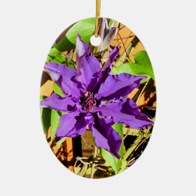 CLEMATIS KERAMIKORNAMENT (Vorne)