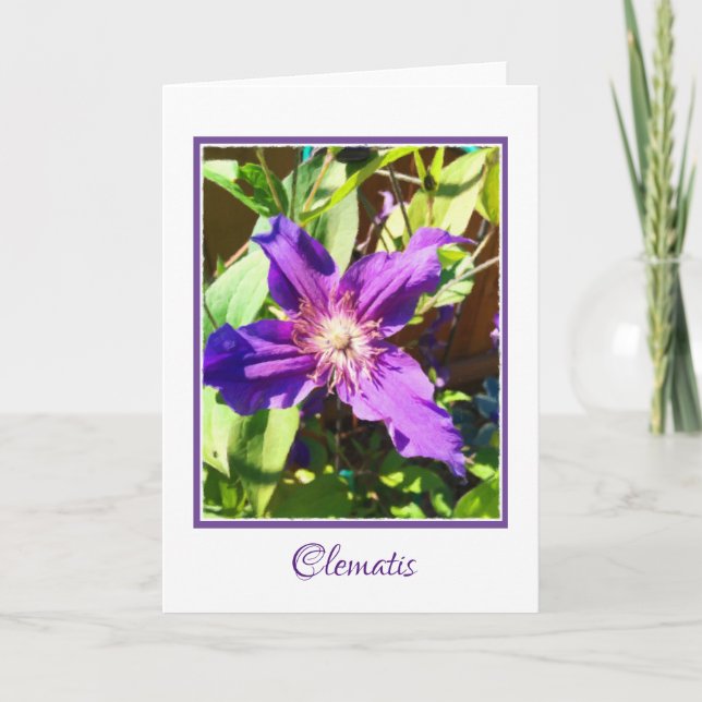 Clematis-leere Gruß-Karte Karte (Vorderseite)