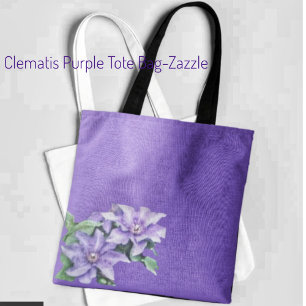 Clematis Lila
