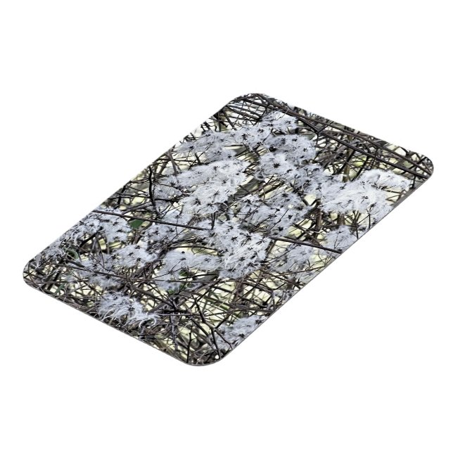 CLEMATIS MAGNET (Linke Seite)