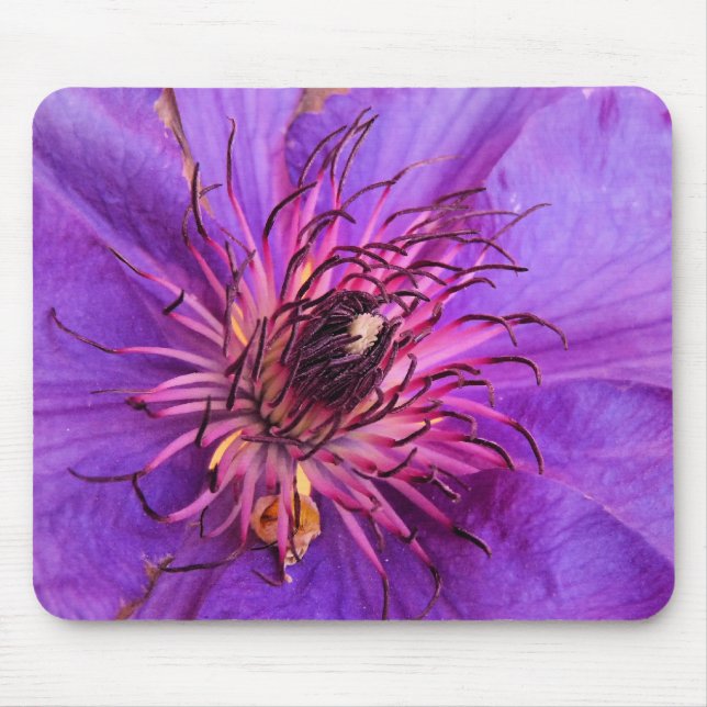 CLEMATIS MOUSEPAD (Vorne)