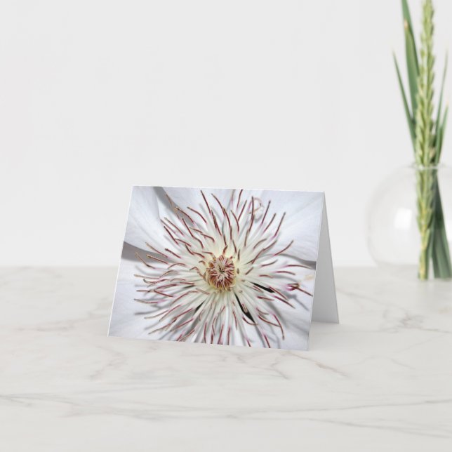 Clematis Notecard Karte (Vorderseite)
