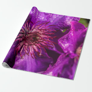 Clematis Präsident Geschenkpapier
