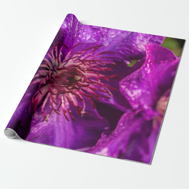 Clematis Präsident Geschenkpapier (Ungerollt)