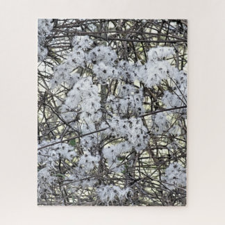 CLEMATIS PUZZLE
