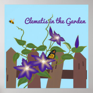 Clematis-Rebe im Garten Poster