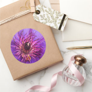 CLEMATIS RUNDER AUFKLEBER