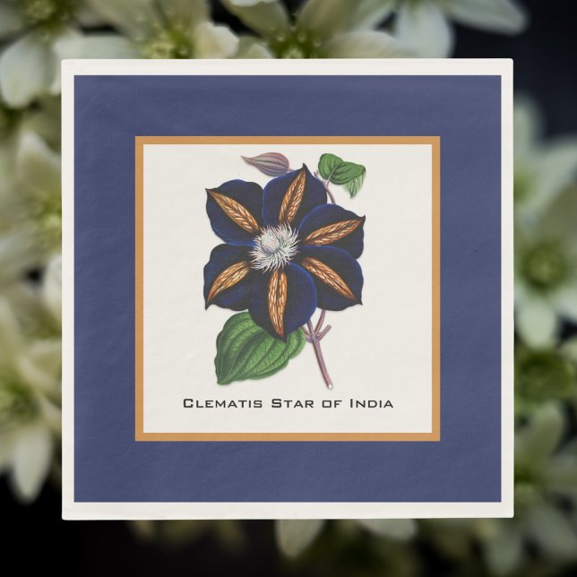 Clematis Star of India Botanische Illustration Serviette (Von Creator hochgeladen)