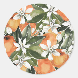 Clementine Baby Dusche Umschlag Aufkleber