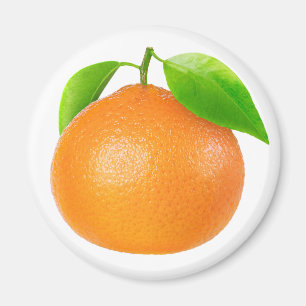 Clementine Magnet