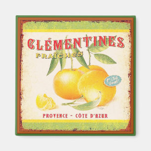 Clementinen der Provence Magnet
