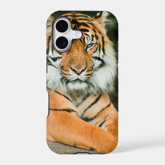 Clemson Tiger Football Handyhüllen und -covers
