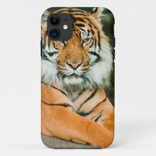 Clemson-Tiger-Fußball-Zellen-Telefon-Hüllen und Case-Mate iPhone Hülle
