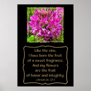 Cleome Flower with Bible Verse from Sirach 24: 23 Poster