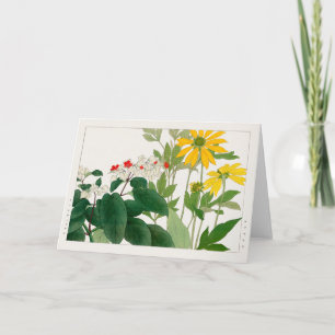 Clerodendrum thomsoniae, Rudbeckia, Tanigami Konan Karte