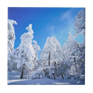 Cleveland National Forest Fliese