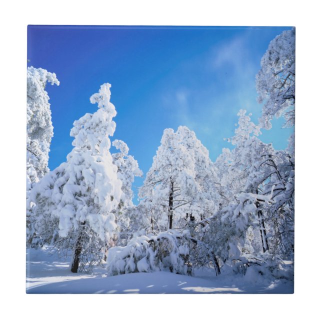 Cleveland National Forest Fliese (Vorderseite)