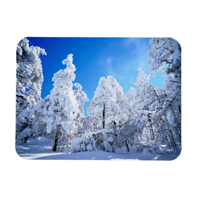 Cleveland National Forest Magnet (Horizontal)