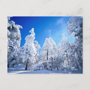 Cleveland National Forest Postkarte