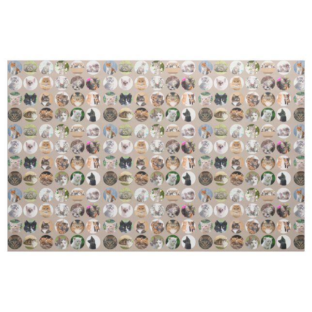 Clever Cats Fabric Stoff (Fat Quarter (45,7 x 55,9 cm))