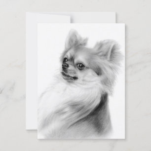 Clever Look Hand bemalt Chihuahua Portrait Postkarte