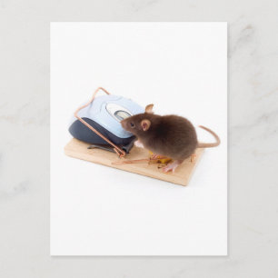 Clever Mouse Postkarte
