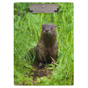 Clever River Otter Klemmbrett
