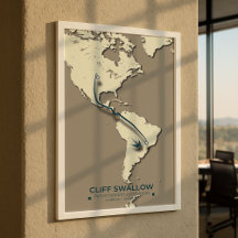 Cliff Swallow Migration Map - Minimalistisch Vinta