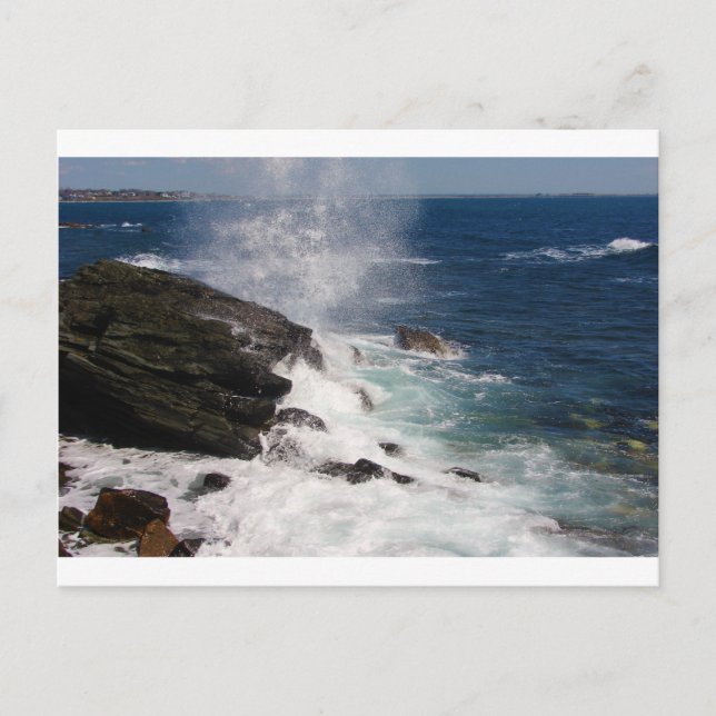 Cliff Walk bei Newport, RI Postkarte (Vorderseite)