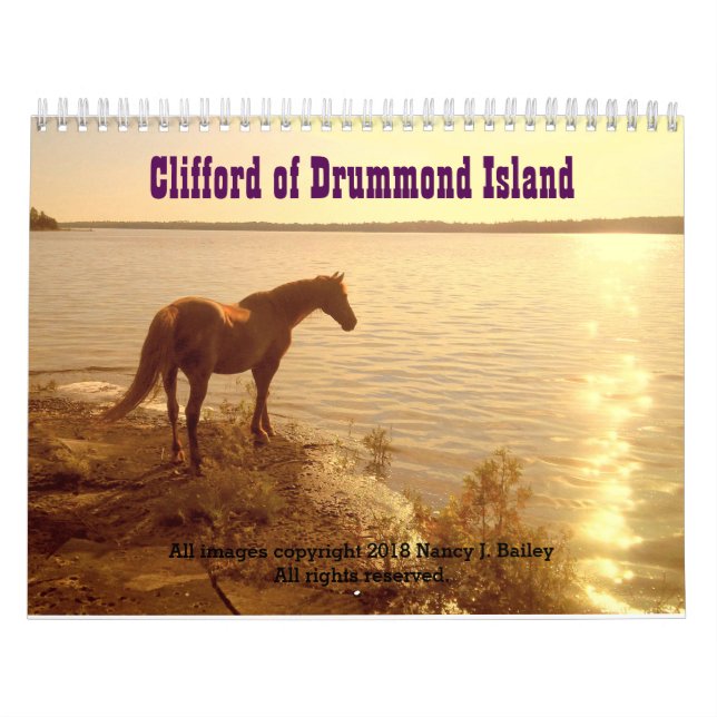 Clifford 2019 der Morgan-Pferdewandkalender Kalender (Titelbild)