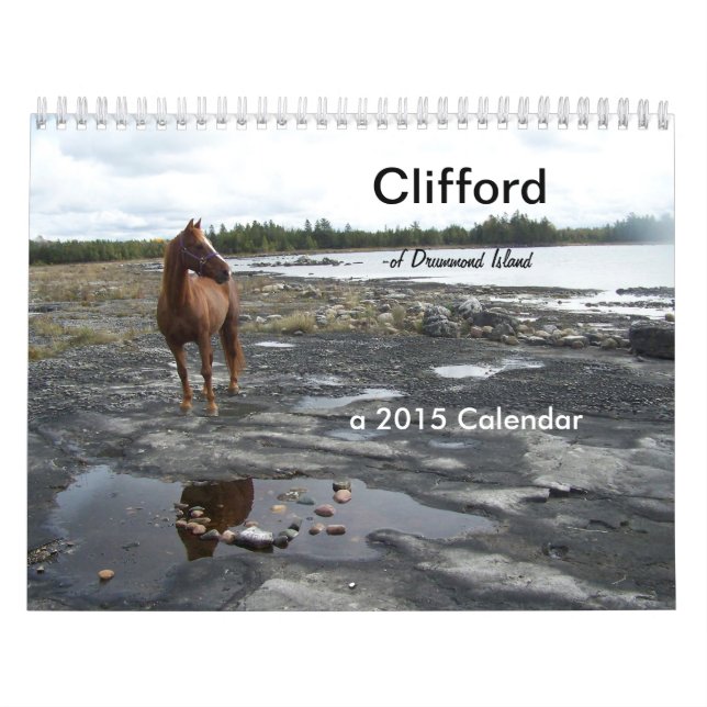 Clifford das Morgan-Pferd Kalender (Titelbild)