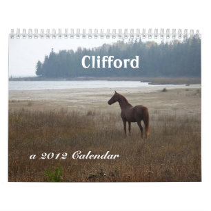 Clifford der Kalender Morgan-Pferd2012