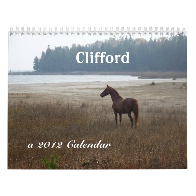 Clifford der Kalender Morgan-Pferd2012 (Titelbild)