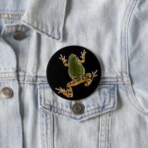 Climbing Arizona Tree Frog Photograph Button