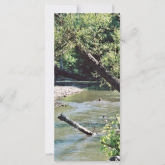 Clinch River Landschaftlich