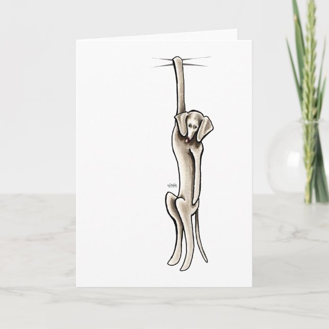 Clingy Weimaraner Karte (Vorderseite)