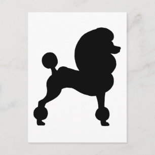 Clipped Standard Poodle Postkarte