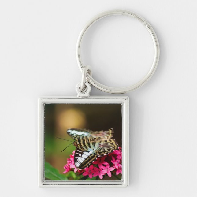 Clipper auf Pentas 3 Schlüsselanhänger (Vorne)