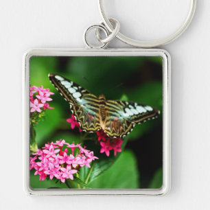 Clipper on Pentas 1 Keychain Schlüsselanhänger