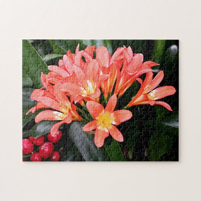 Clivia-Blume in Blüte Puzzle (Horizontal)