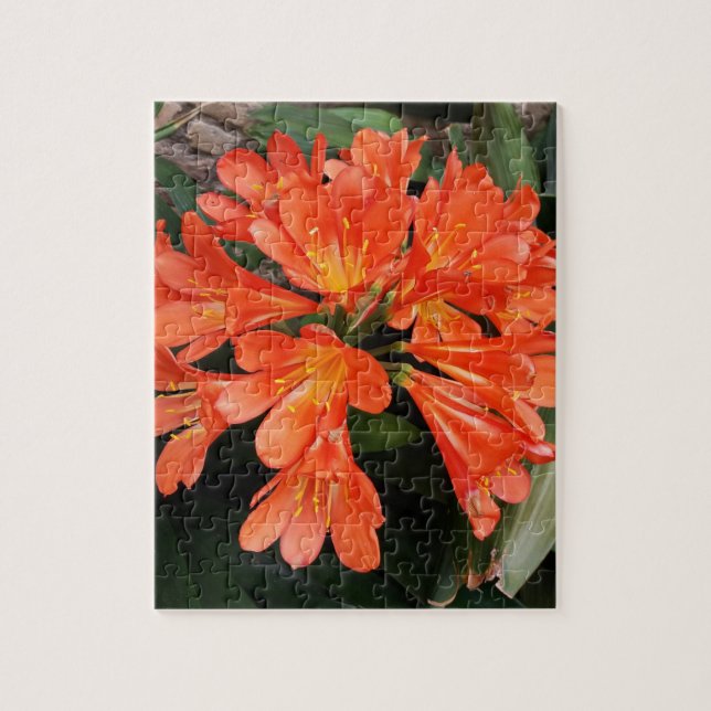 Clivia Miniata - Die Orange Schöne Blume Puzzle (Vertikal)