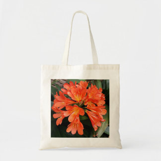 Clivia Miniata - Die wunderschöne Blume Tragetasche