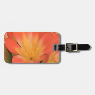 Clivias Luggage Tag Gepäckanhänger